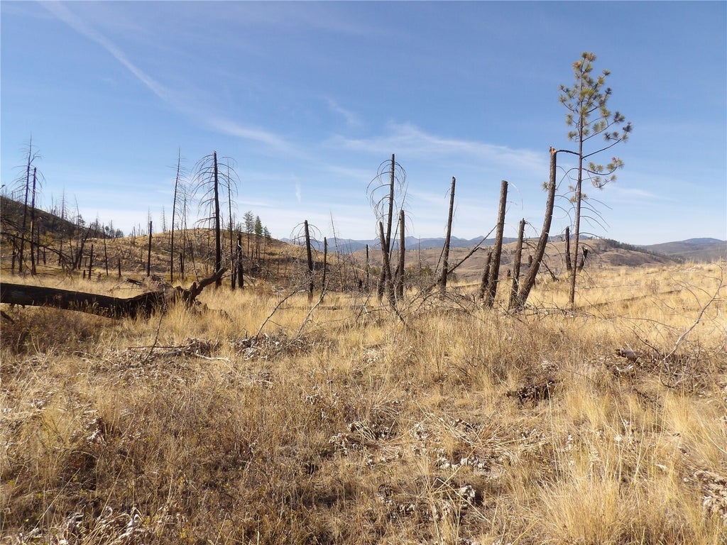Photo of 0 TBD Stillwater Hill Road, Tonasket, WA 98855 (MLS # 2595509)