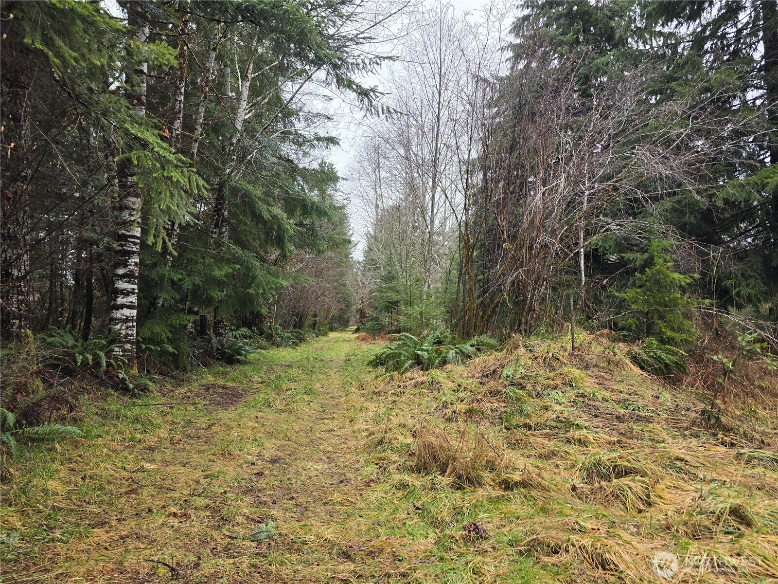 261 W Elk Hill Road