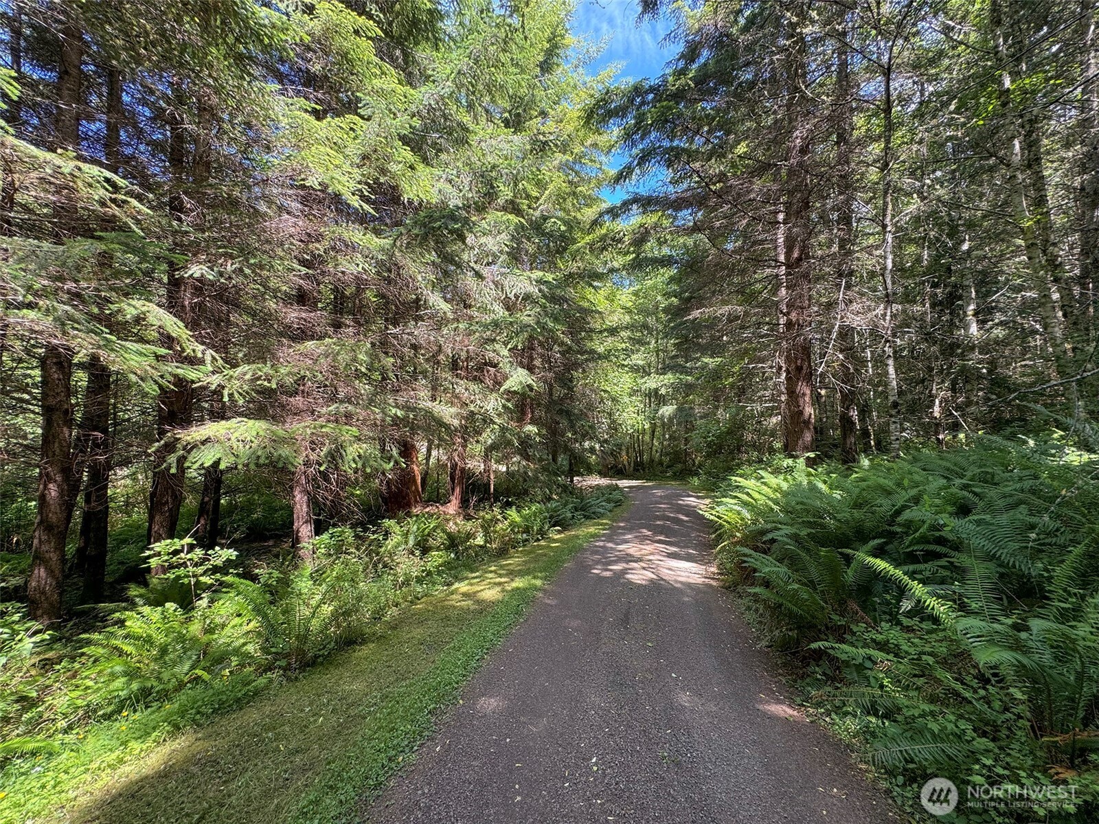 325 Evergreen View Parkway