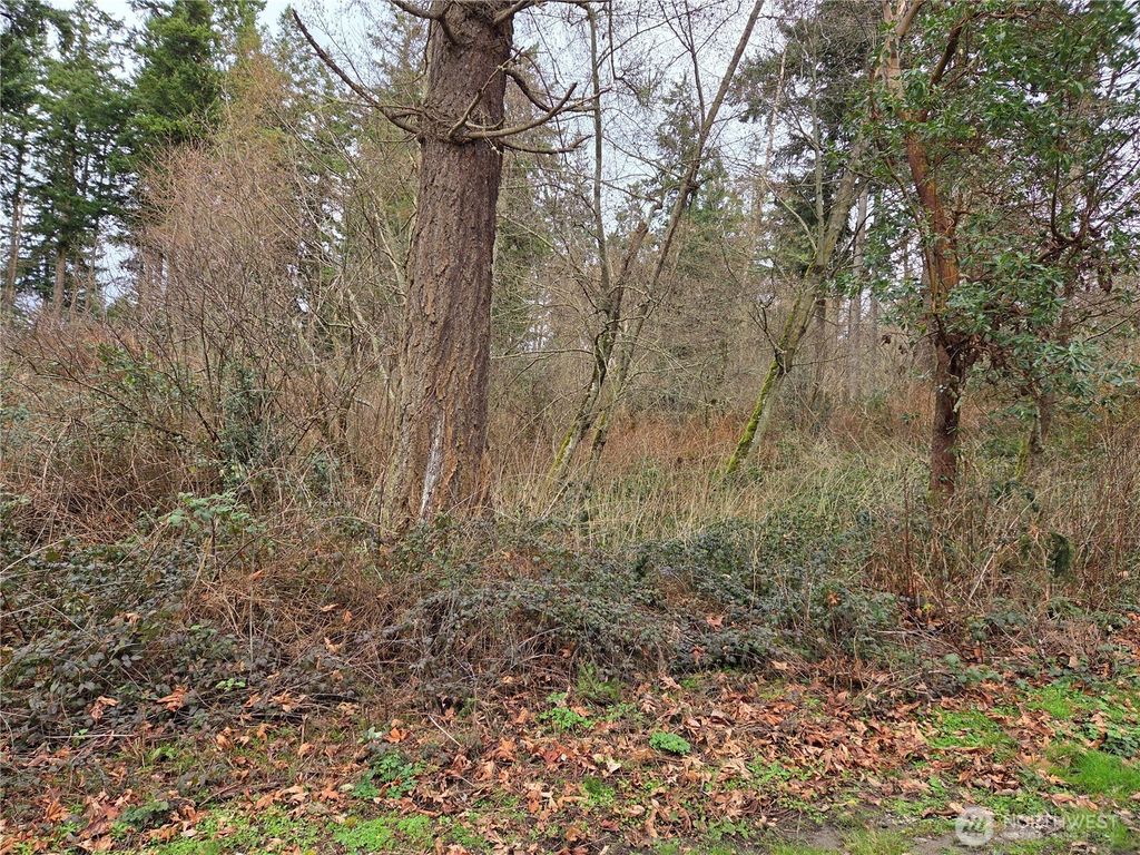 Photo of 103 B Whidbey Island Drive, Hat Island, WA 98206 (MLS # 2476225)