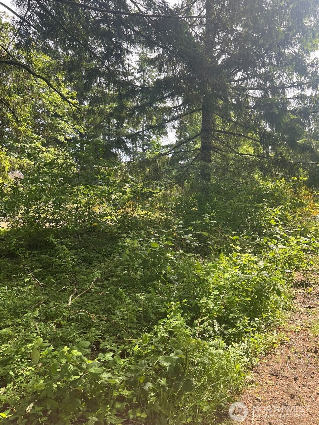 Photo of 2230 W Beverly Boulevard, Shelton, WA 98584 (MLS # 2460970)