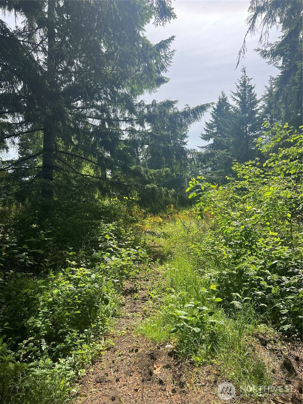 Photo of 2230 W Beverly Boulevard, Shelton, WA 98584 (MLS # 2460970)