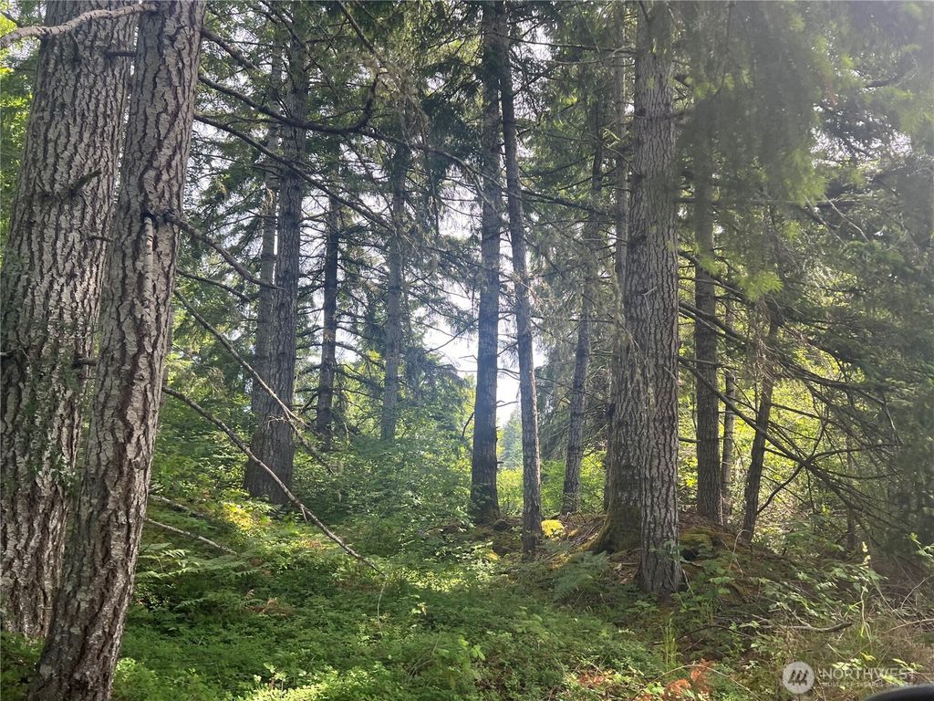 Photo of 2230 W Beverly Boulevard, Shelton, WA 98584 (MLS # 2460970)