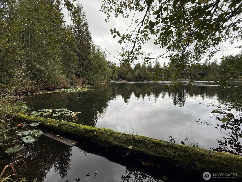 Photo of 376 XX E Lake Walker Drive SE #A, Enumclaw, WA 98022 (MLS # 2593157)