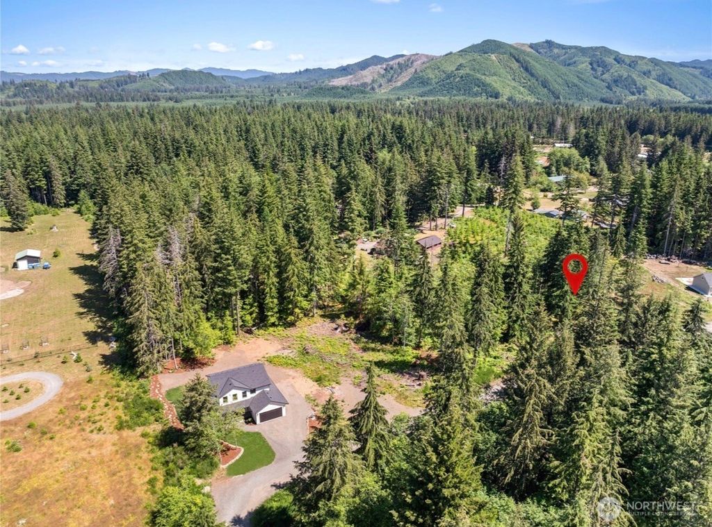 Photo of 579 Thomas Street, Forks, WA 98331 (MLS # 2481458)