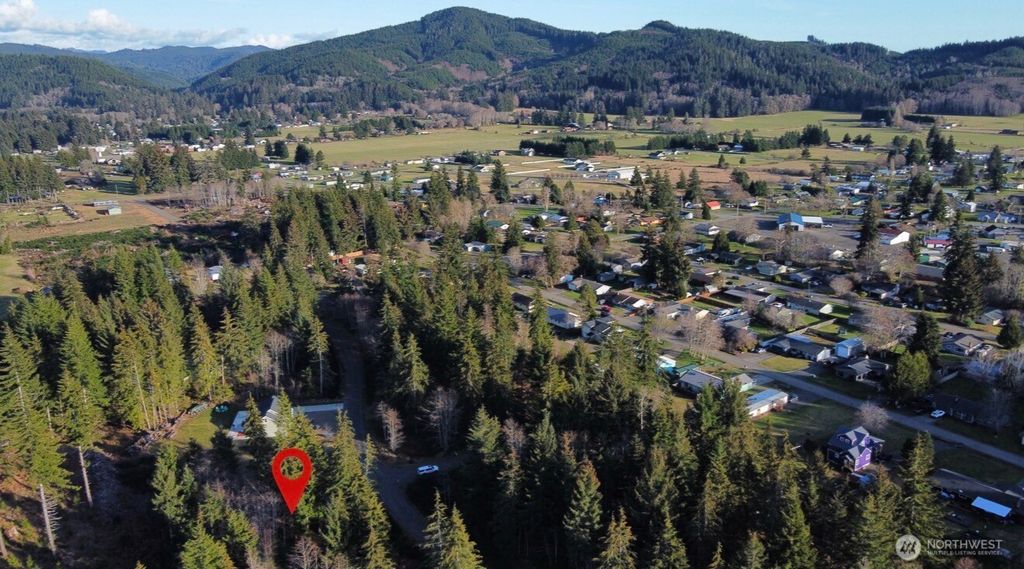 Photo of 579 Thomas Street, Forks, WA 98331 (MLS # 2481458)