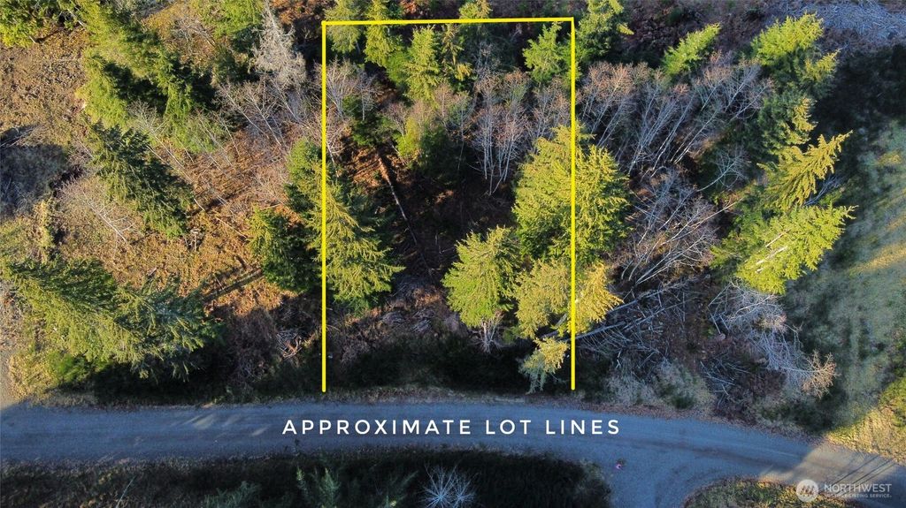 Photo of 579 Thomas Street, Forks, WA 98331 (MLS # 2481458)