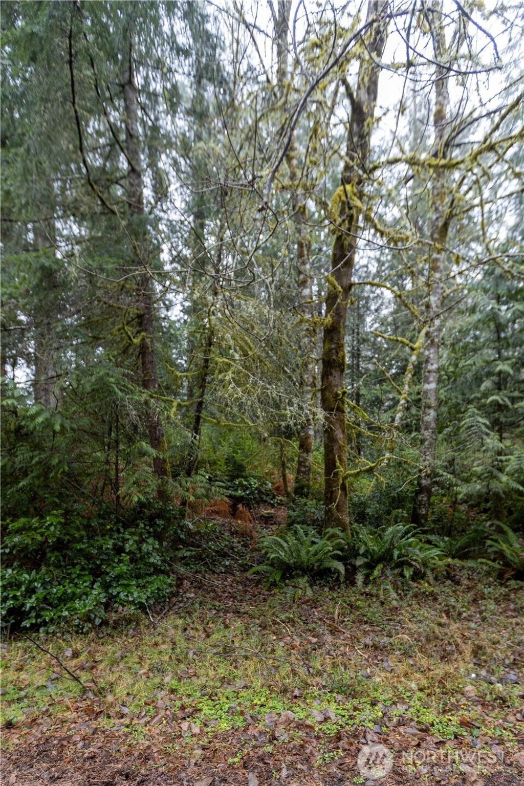 Photo of 11416 86th Street Ct, Anderson Island, WA 98303 (MLS # 2475145)