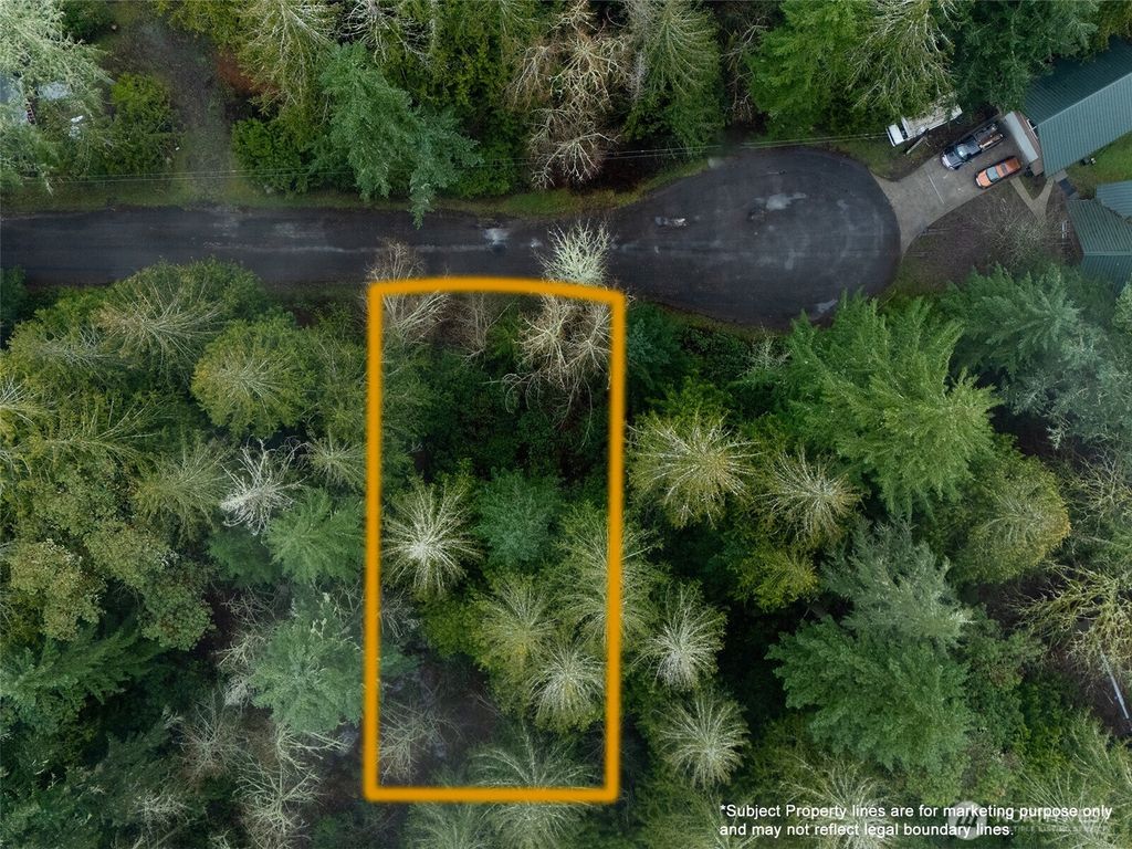 Photo of 11416 86th Street Ct, Anderson Island, WA 98303 (MLS # 2475145)