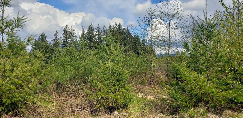 Photo of 35 XXX NE 98th Street, Carnation, WA 98014 (MLS # 1930161)