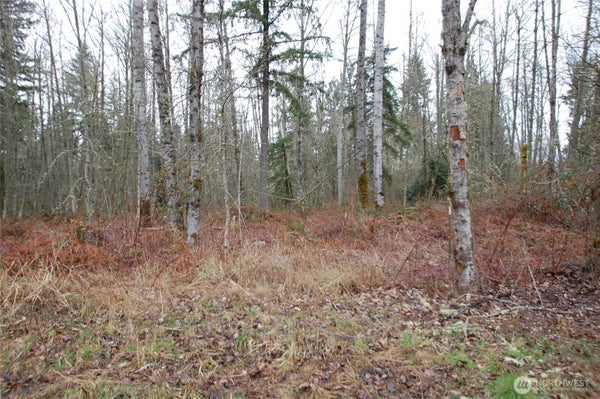 31809 116TH AVE E, GRAHAM, WA 98338 - Image bb63c8e0978bc9a1d2f4f2d0f777e68e/3787875597