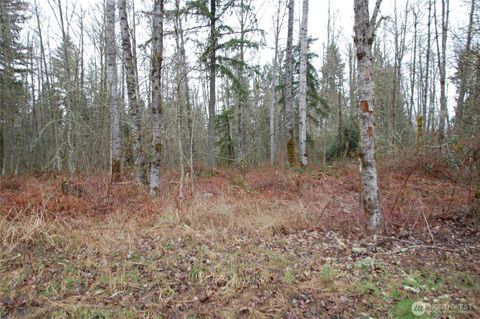 Photo of 31809 116th Avenue E, Graham, WA 98338 (MLS # 2530237)