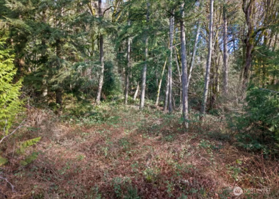 0 Olalla Valley Road SE