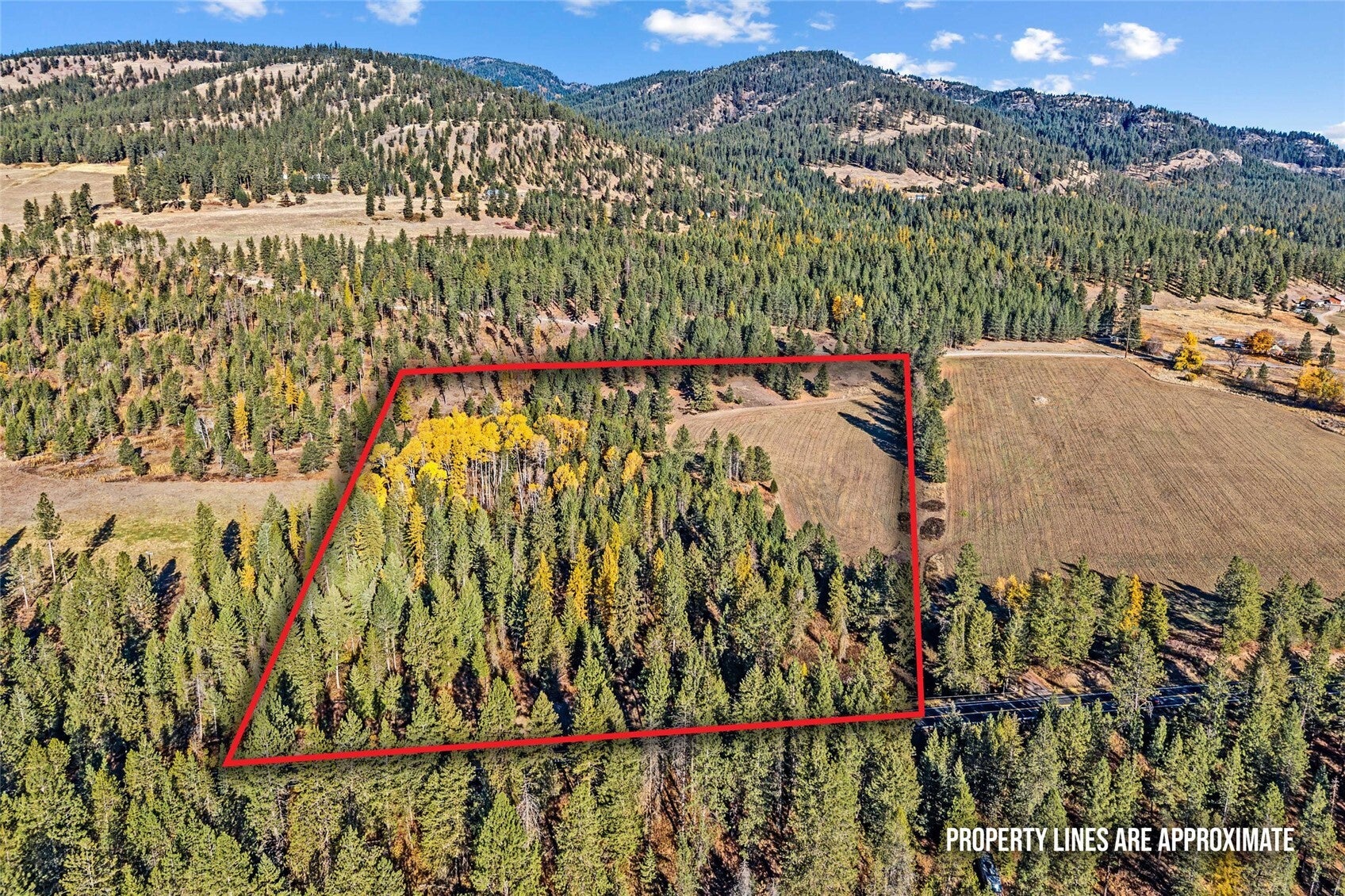 206 Addy Gifford Road Lot A