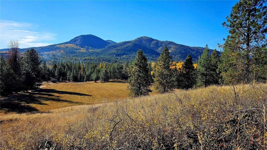 Photo of 206 X Addy Gifford Road #Lot A, Addy, WA 99101 (MLS # 2598463)