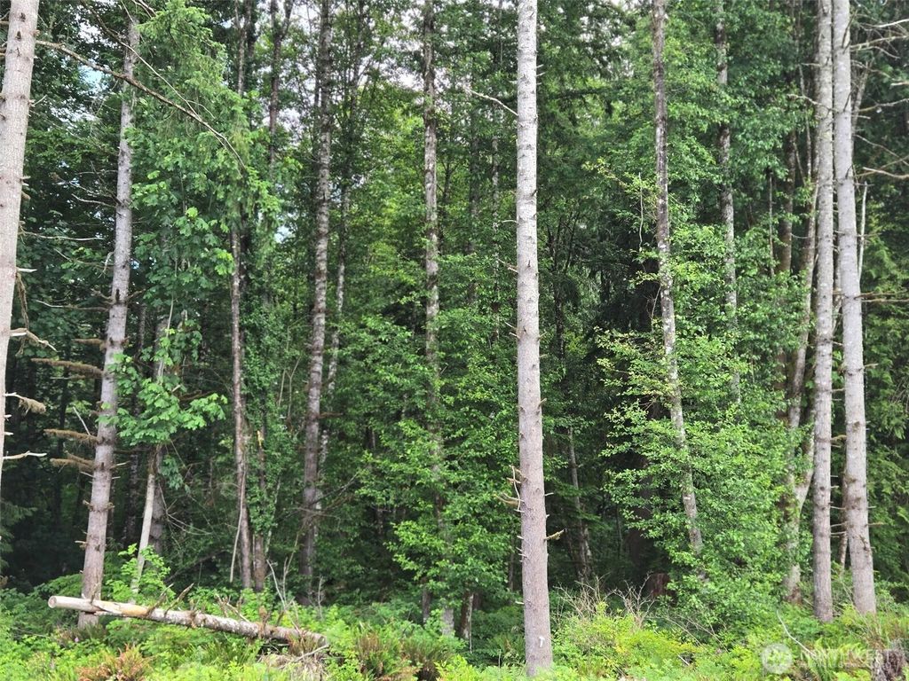 Photo of 33736 Site 208 Basswood Avenue SE, Black Diamond, WA 98010 (MLS # 2398528)