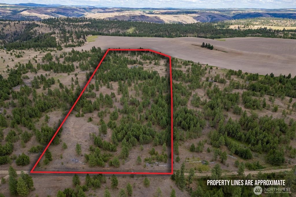 Photo of 35450 Prairie Lane N #Lot 2, Creston, WA 99117 (MLS # 2458299)
