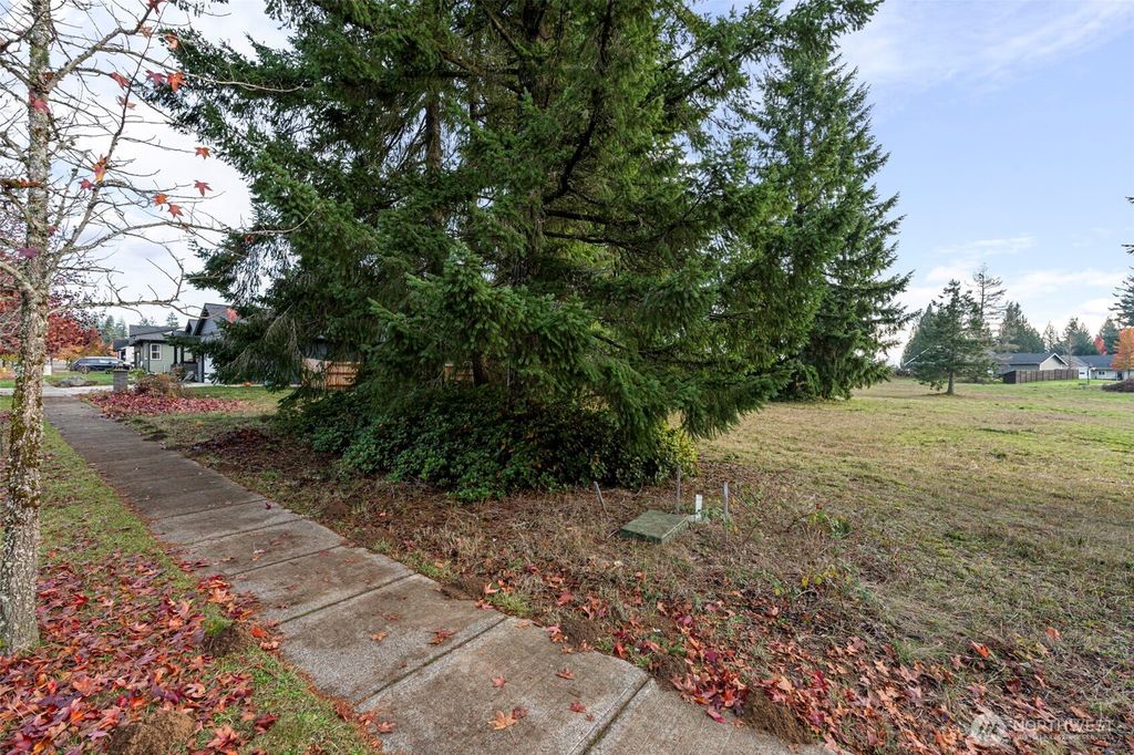 Photo of 116 Redwood Lane, Onalaska, WA 98570 (MLS # 2458354)