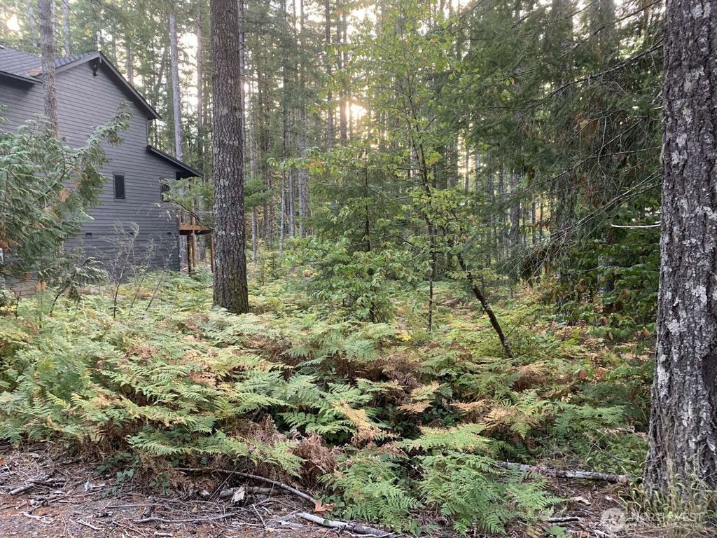 Photo of 0 Loop Lane, Packwood, WA 98361 (MLS # 2464784)