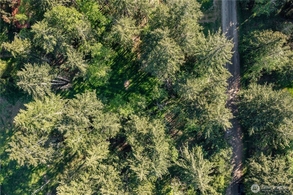 Photo of 909 E Madrona Boulevard NW, Lakebay, WA 98349 (MLS # 2521296)