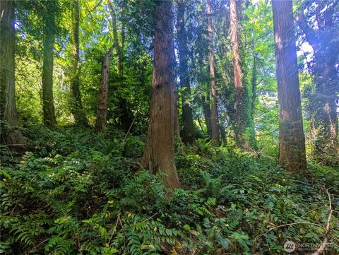 Photo of 633 W Division Street, Tumwater, WA 98512 (MLS # 2389909)