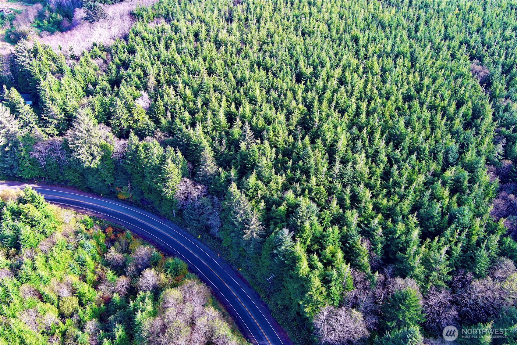 0 Copalis Beach Road