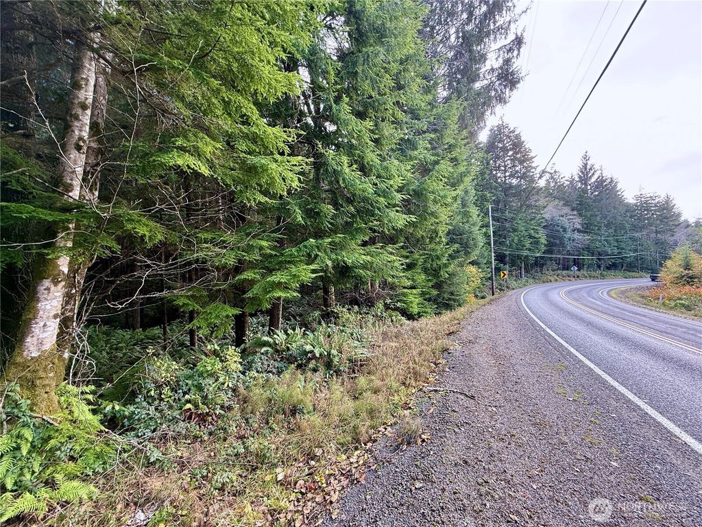 Photo of 0 Copalis Beach Road, Copalis Beach, WA 98535 (MLS # 2475899)