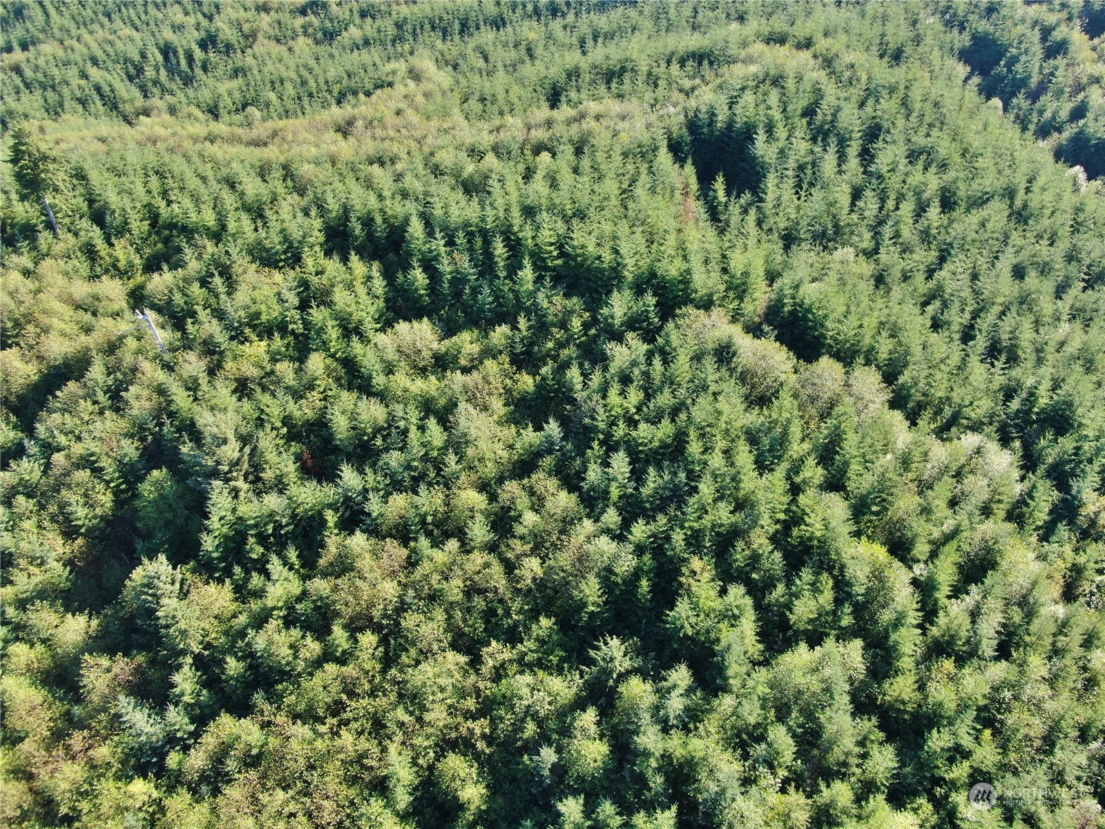 0 Butte Creek Road