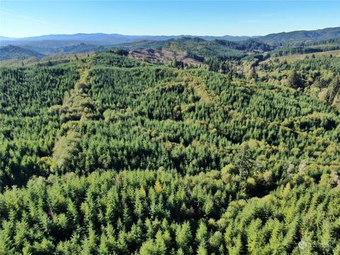 Photo of 0 Off of Butte Creek Road, Raymond, WA 98577 (MLS # 2315561)