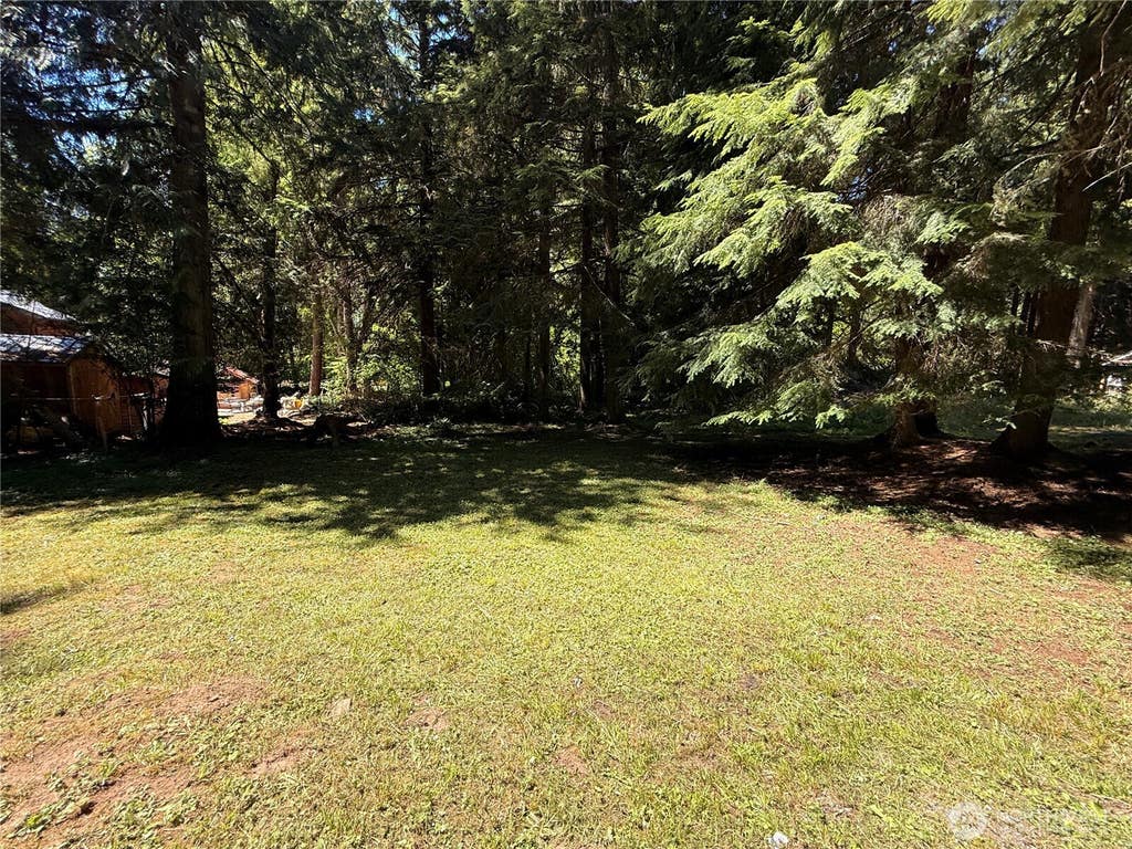 Photo of 56010 344th Avenue Ct E, Ashford, WA 98304 (MLS # 2563967)