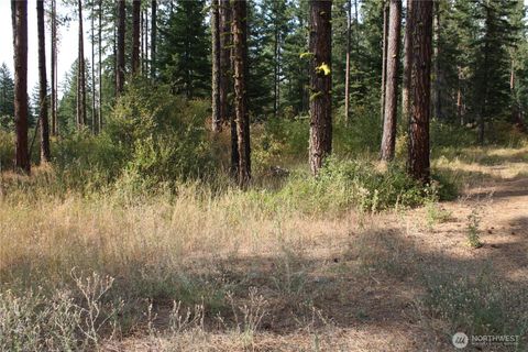 Photo of 901 Horvatt Road, Roslyn, WA 98941 (MLS # 2549540)