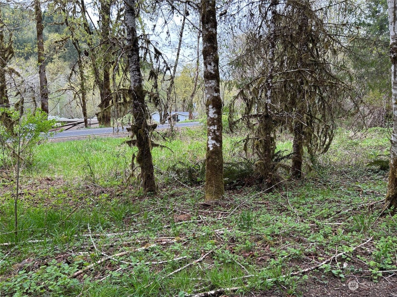 0 Abernathy Creek Road