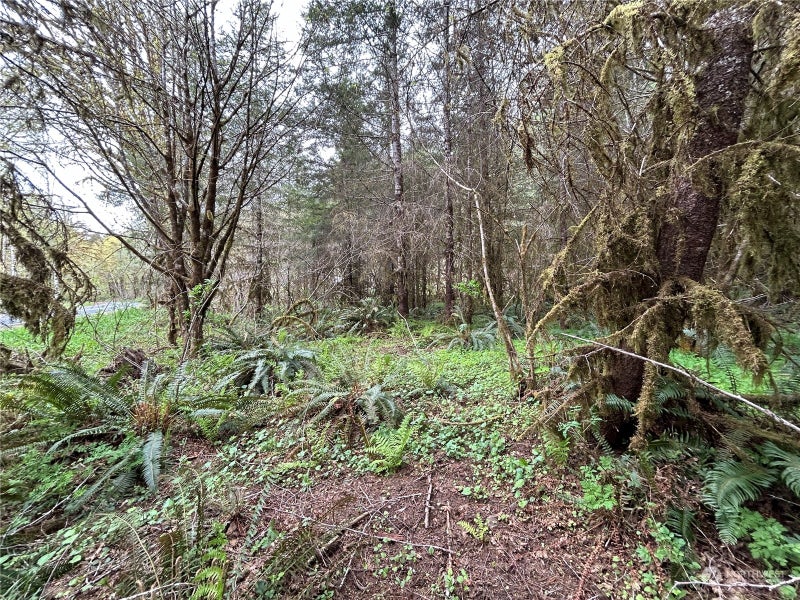0 Abernathy Creek Road
