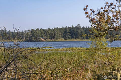Photo of 0 Egg Lake Road, Friday Harbor, WA 98250 (MLS # 2567483)