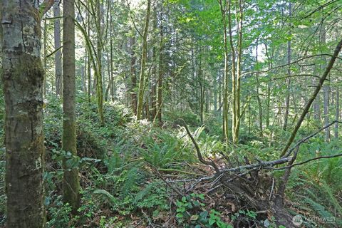 20825 Old Mill Road SW Vashon WA 98070