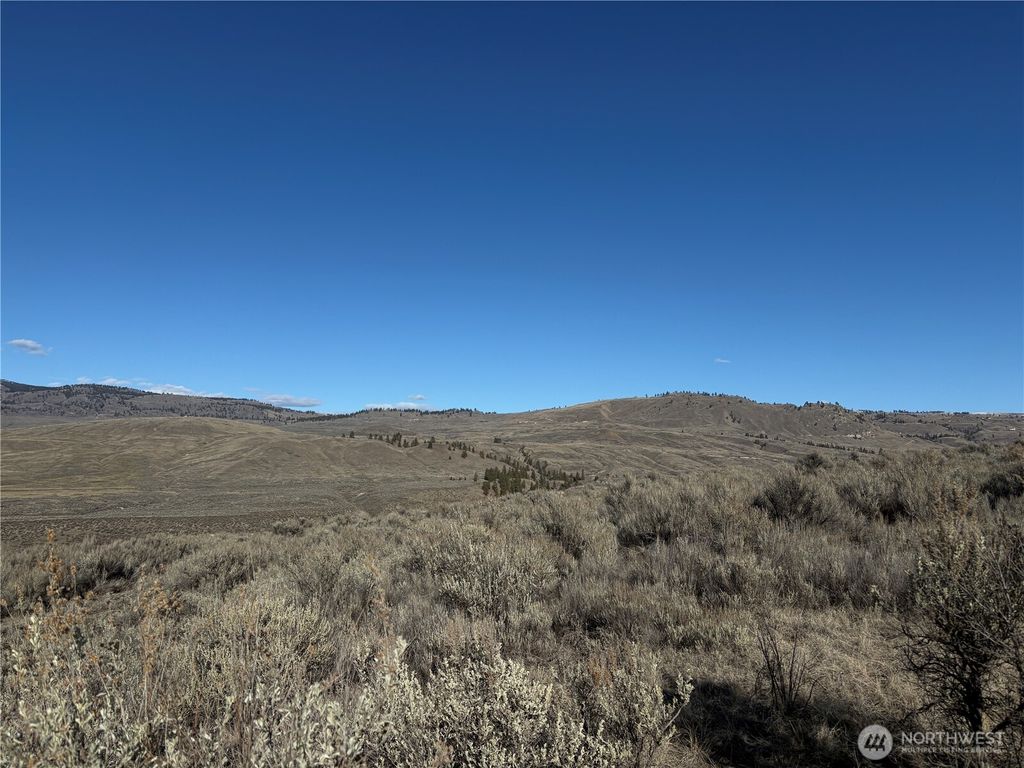 Photo of 0 Canyon View Lane, Oroville, WA 98844 (MLS # 2483146)