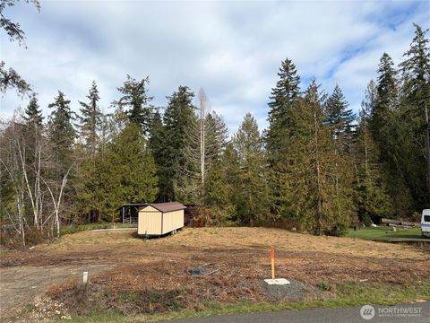 41 E Wildwood Lane Brinnon WA 98320