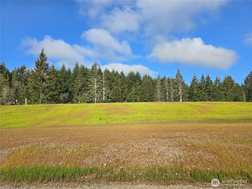 Photo of 61 E Virgil Drive W, Allyn, WA 98524 (MLS # 2513714)