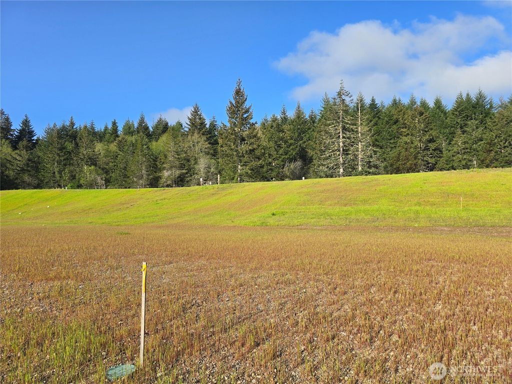 Photo of 61 E Virgil Drive W, Allyn, WA 98524 (MLS # 2513714)