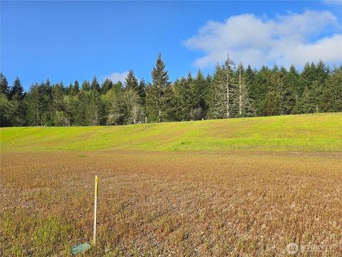Photo of 61 E Virgil Drive W, Allyn, WA 98524 (MLS # 2513714)