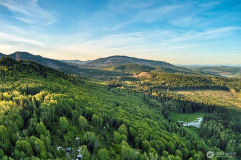 0 Elkhorn Lane Quilcene WA 98376