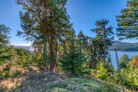 Photo of 980 Palisades Drive, Orcas Island, WA 98245 (MLS # 2598100)