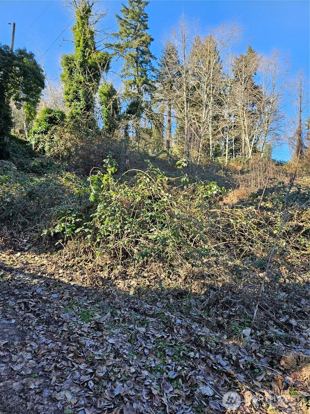 Photo of 13610 Macadam Road S, Tukwila, WA 98168 (MLS # 2354728)