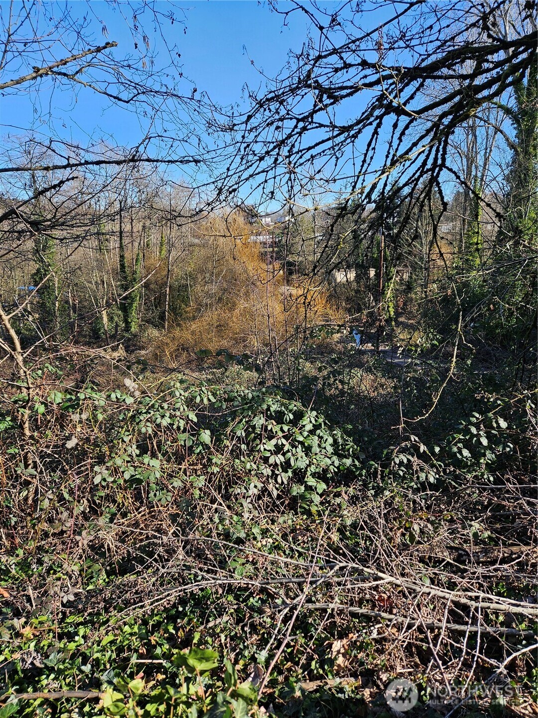 13610 Macadam Road S