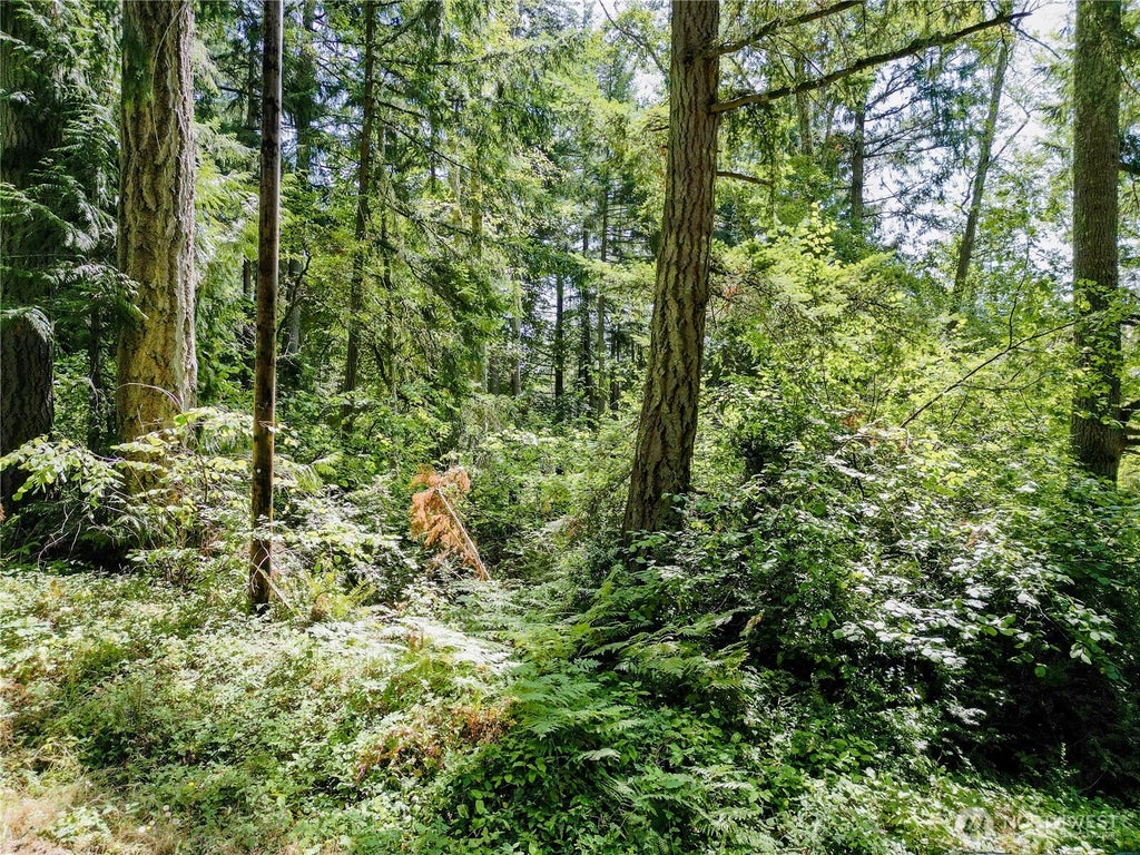 Photo of 12212 Sound Drive, Anderson Island, WA 98303 (MLS # 2576109)