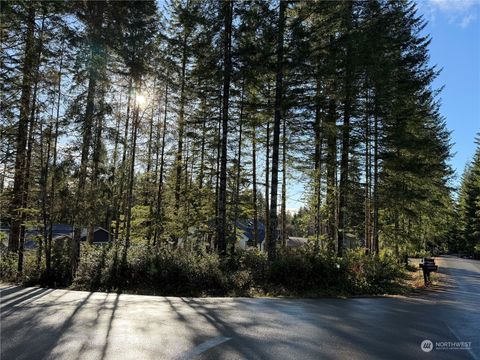0 Blackberry Lane Union WA 98592