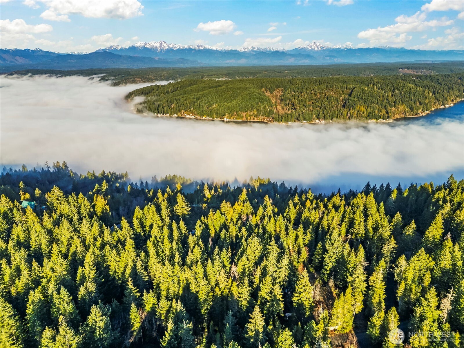 1133 E Timber Tides Drive