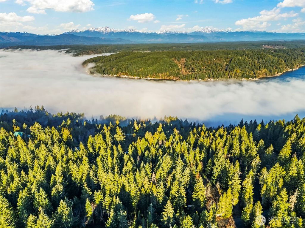 Photo of 1133 E Timber Tides Drive, Union, WA 98592 (MLS # 2469872)