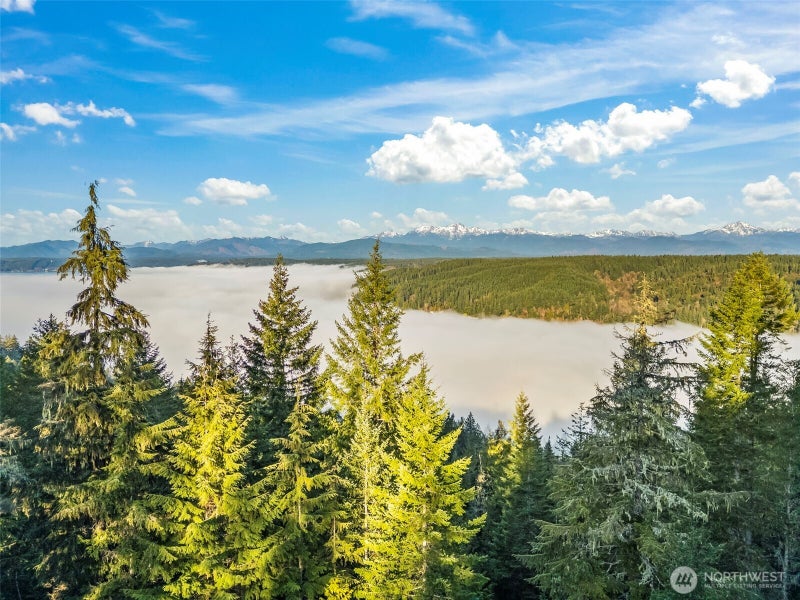1133 E Timber Tides Drive