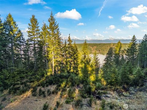 1133 E Timber Tides Drive Union WA 98592